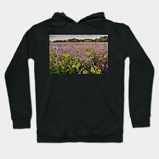 Floral Bouquet at Sheldwich Hoodie